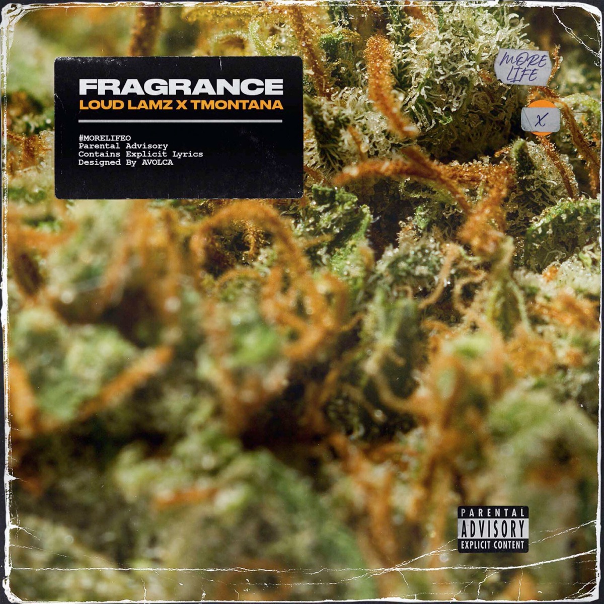 Fragrance - Single by Loud Lamz & TmonTana album cover