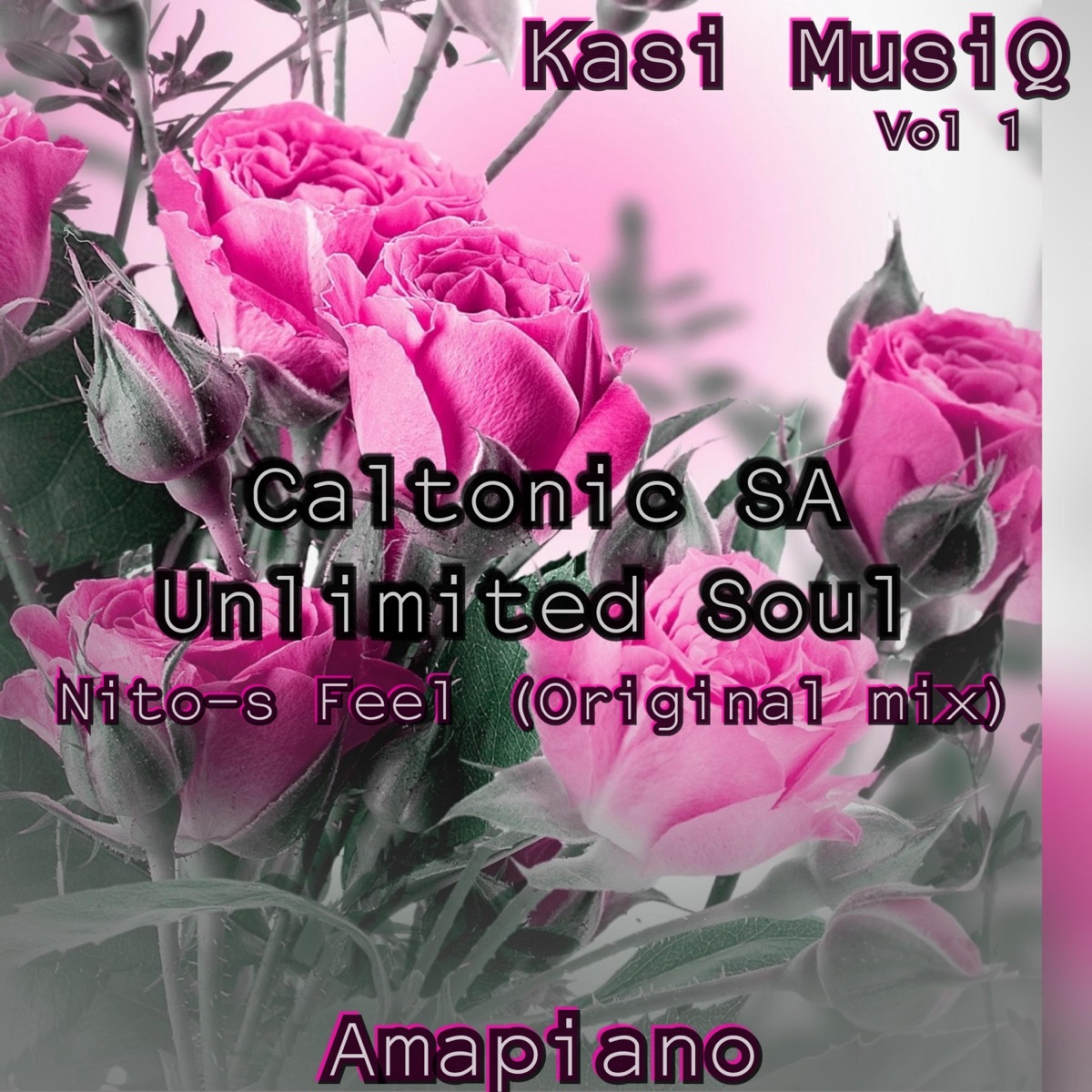Nito-S Feel (feat. Unlimited Soul) - Single by Caltonic SA album cover