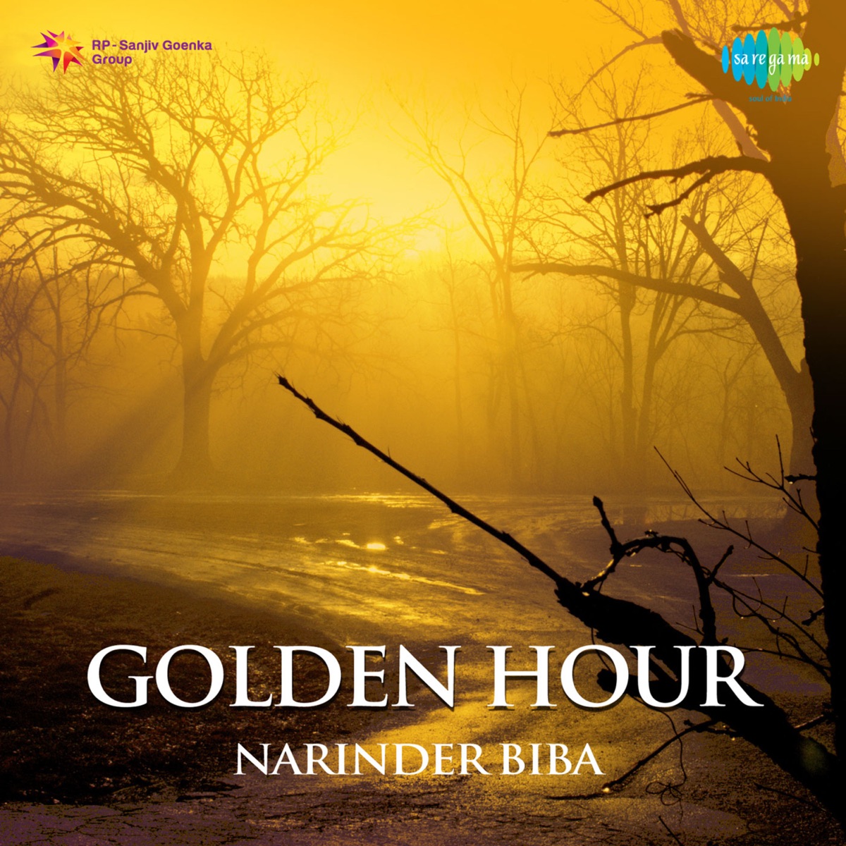 Golden Hour Narinder Biba by Narinder Biba, K L Agnihotri & Mohd. Rafi album cover