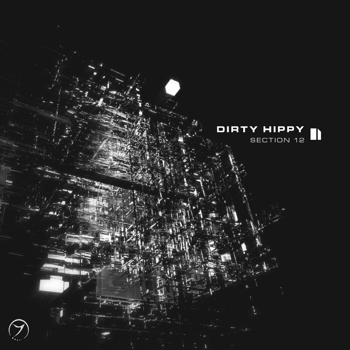 Section 12 by Dirty Hippy album cover