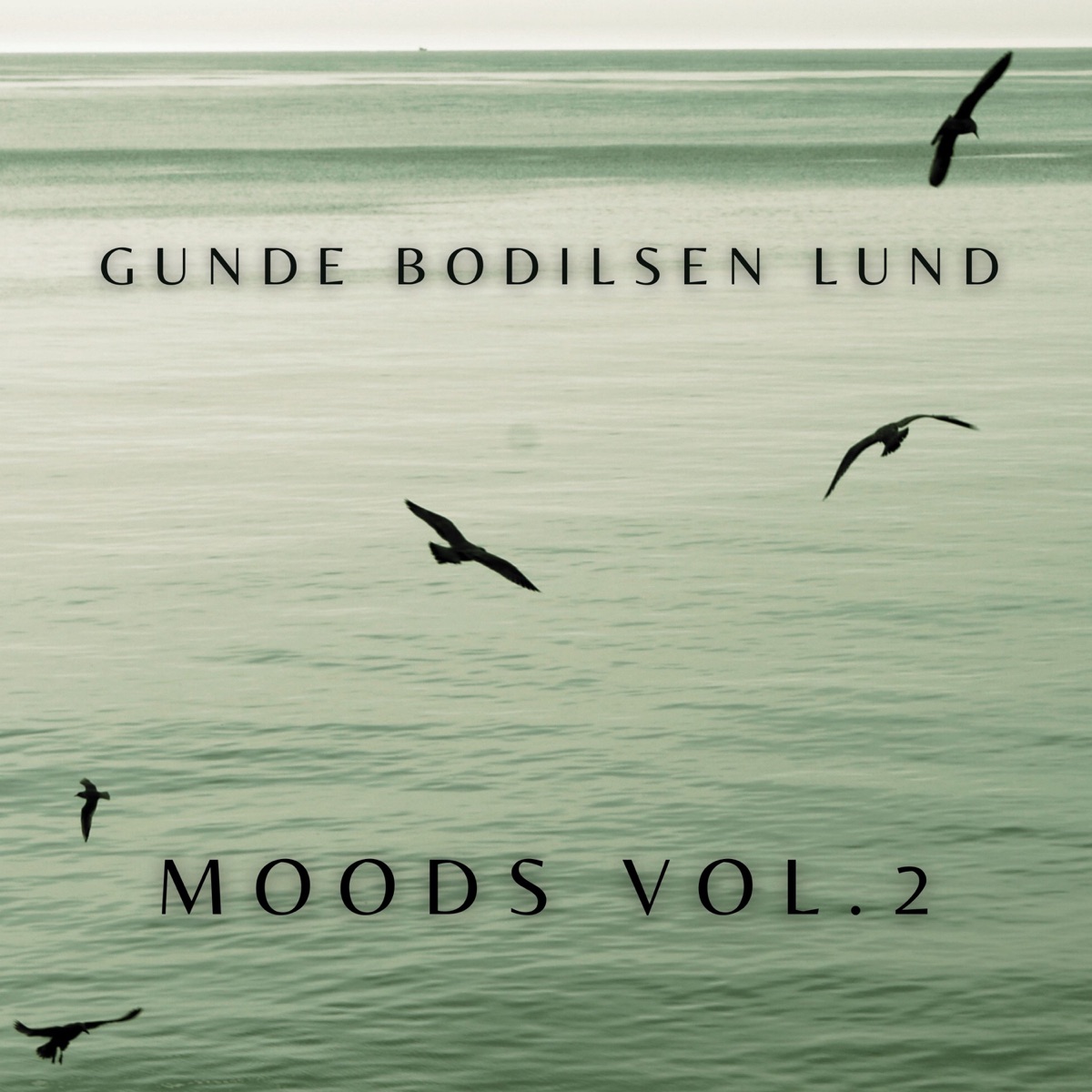 Moods, Vol. 2 by Henrik Gunde, Jesper Bodilsen & Morten Lund album cover