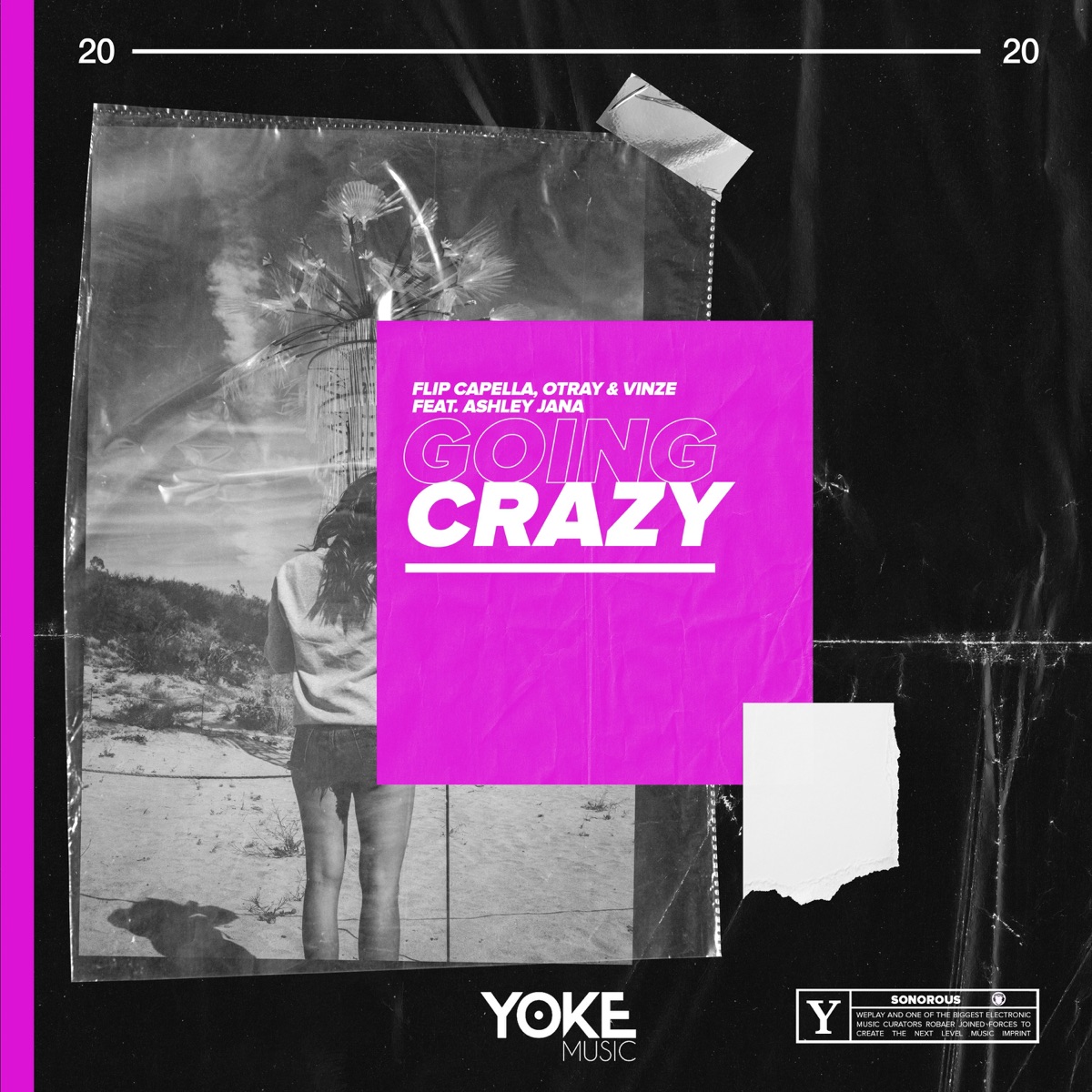 Going Crazy (feat. Ashley Jana) - Single by Flip Capella, Otray & Vinze album cover