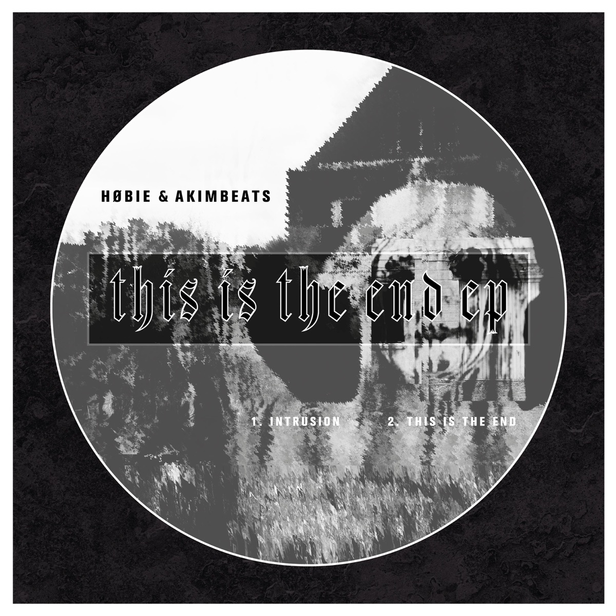 This Is the End - Single by Hobie & Akimbeats album cover