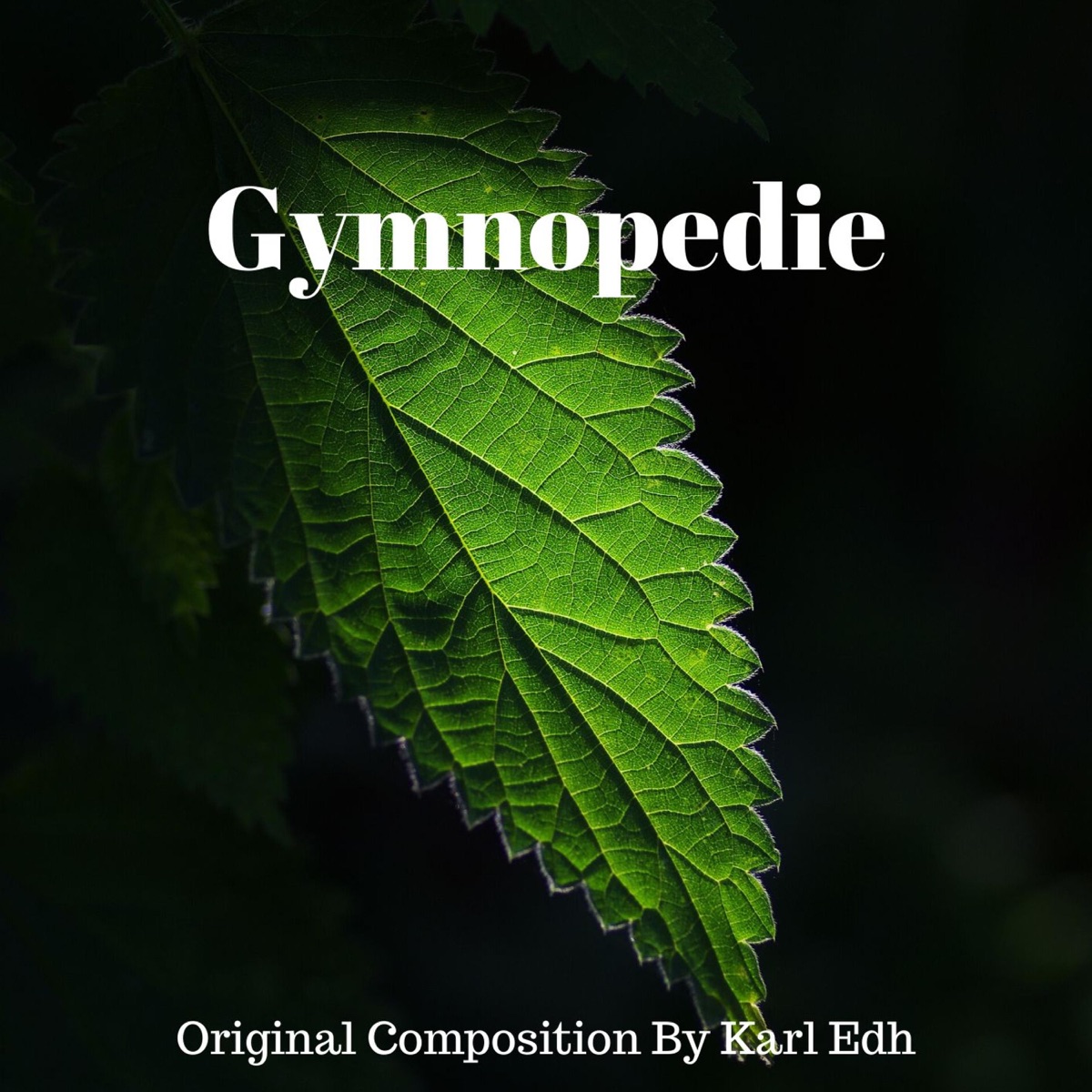 Gymnopedie - Single by Karl Edh album cover
