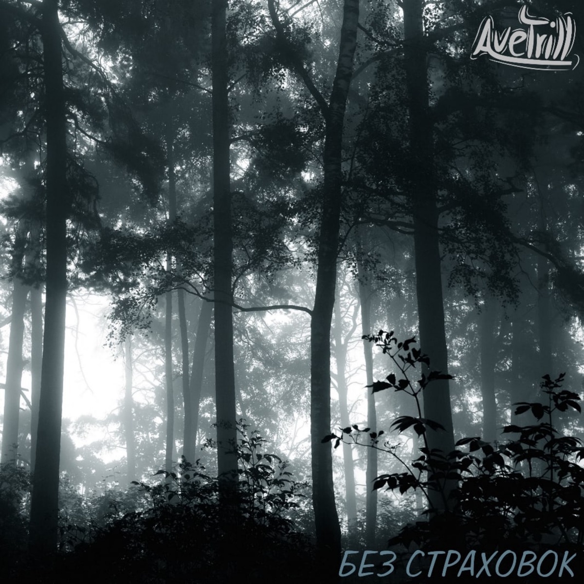 Без страховок - Single by Avetrill album cover