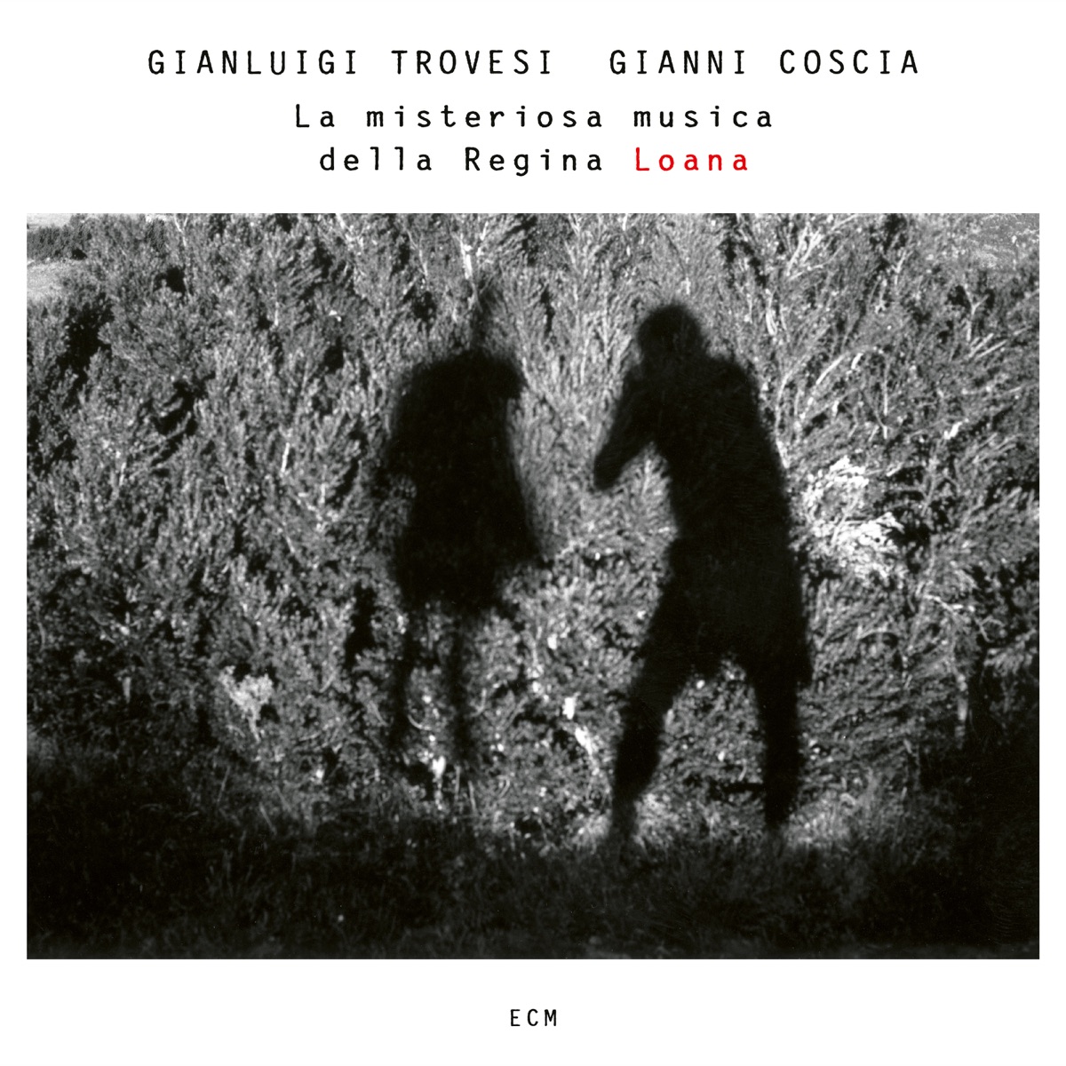 La misteriosa musica della Regina Loana by Gianluigi Trovesi & Gianni Coscia album cover