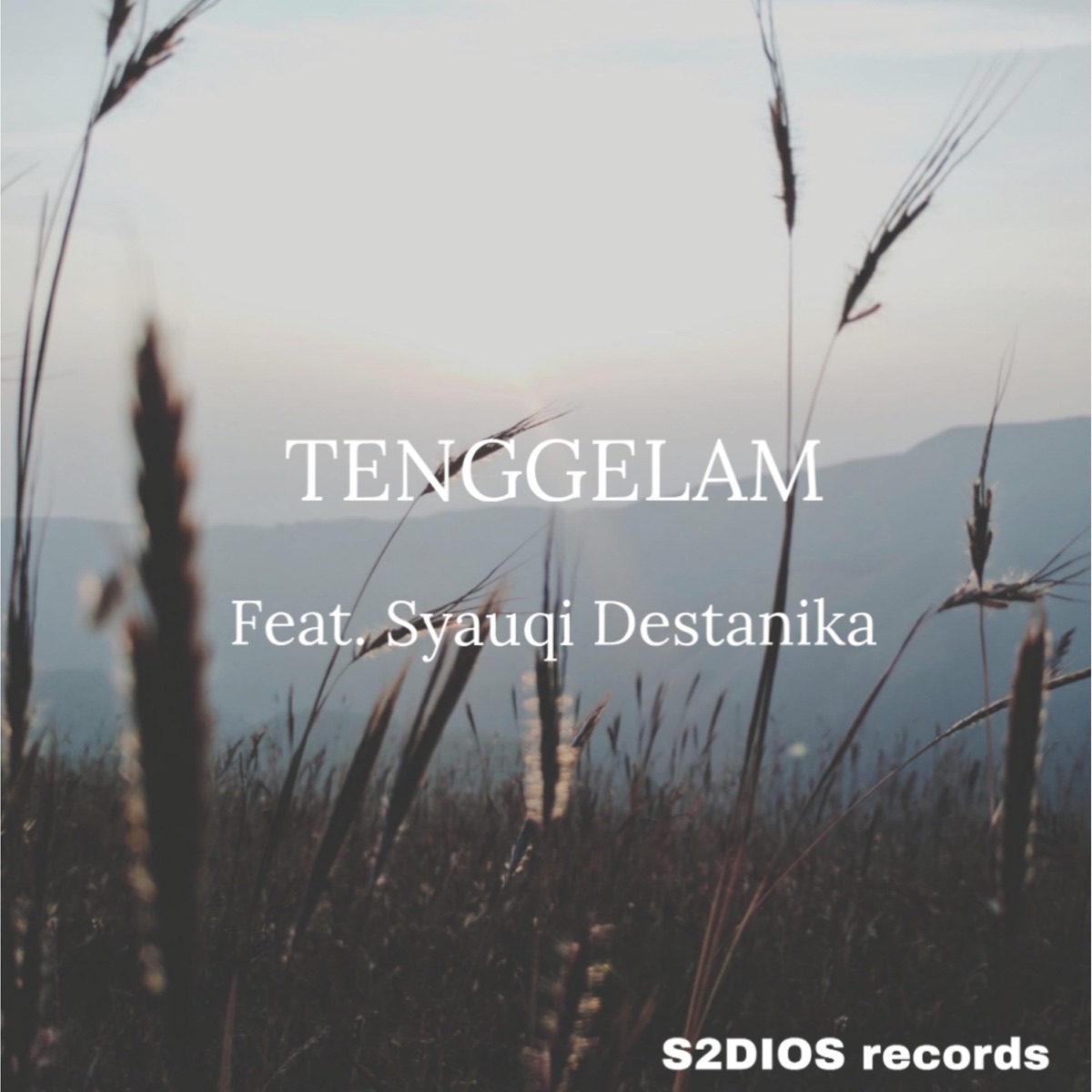 Tenggelam (feat. Syauqi Destanika) - Single by Julien Julesman Sham album cover