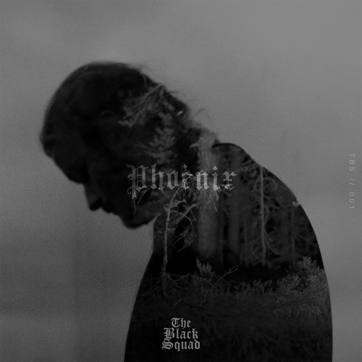 Phoenix (feat. Marcus Hägg) - Single by The Black Squad album cover
