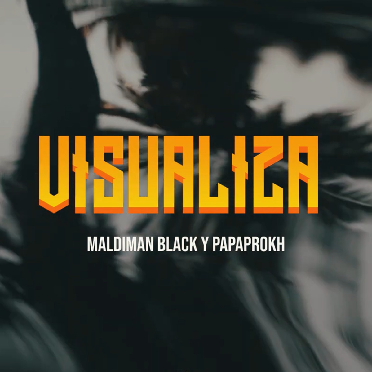 Visualiza - Single by Maldiman Black & papaprokh album cover