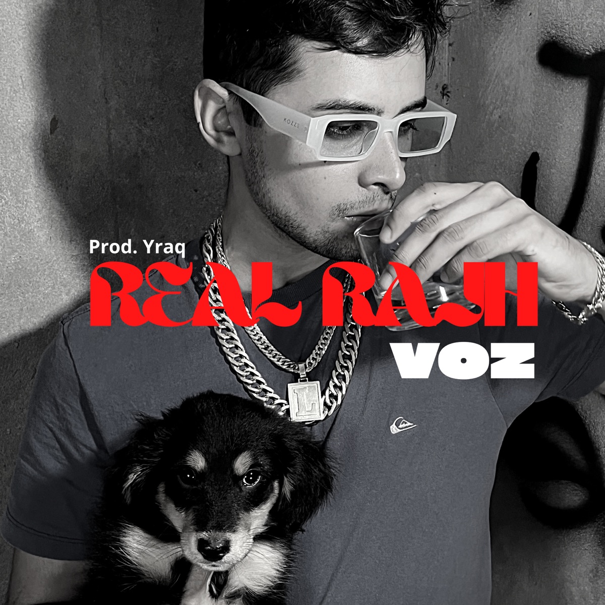 Voz - Single by Real Rajh album cover