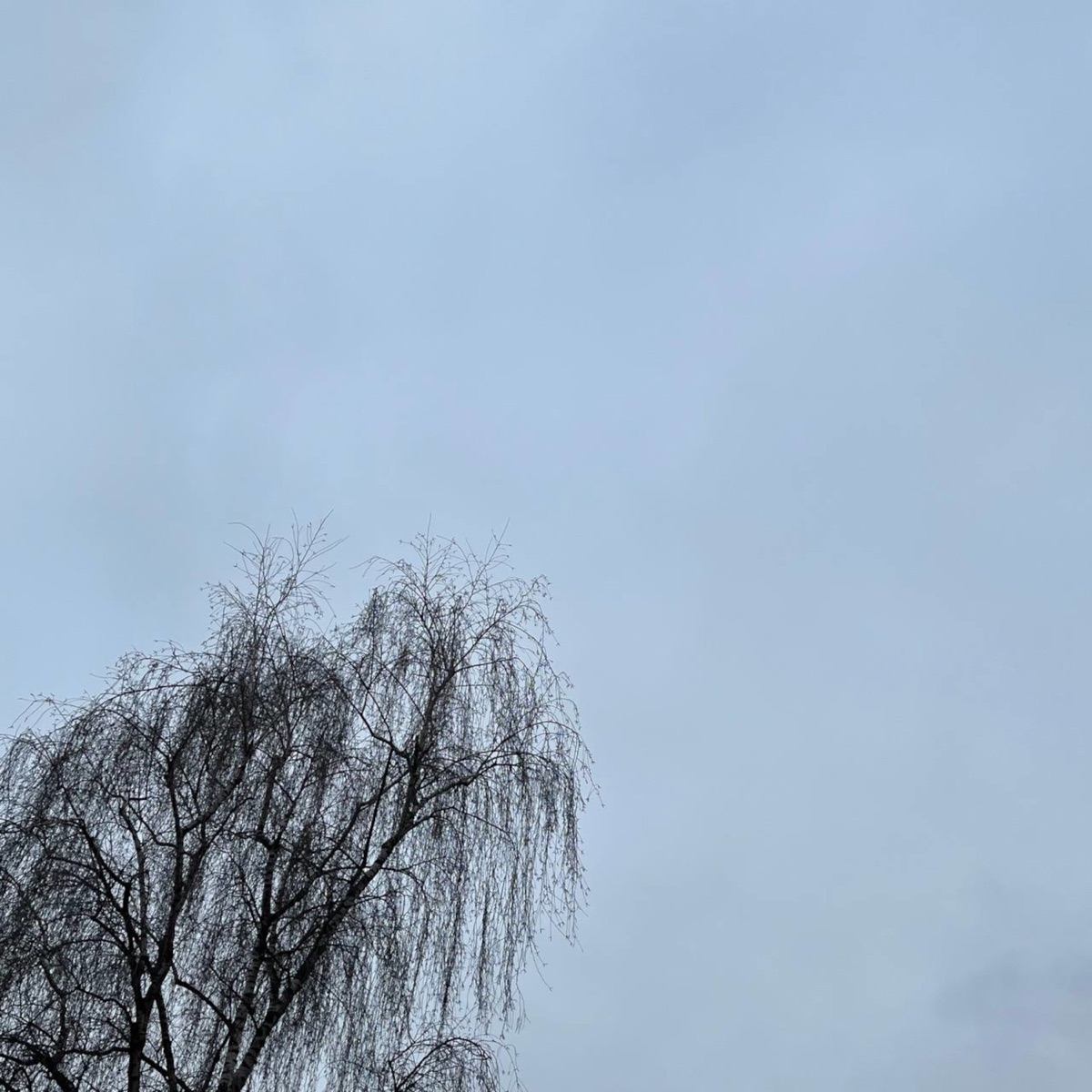 Rain - Single by High John album cover