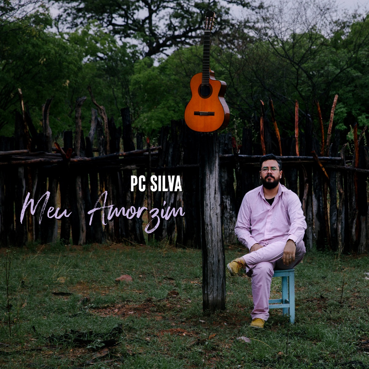 Meu Amorzim - Single by PC Silva album cover