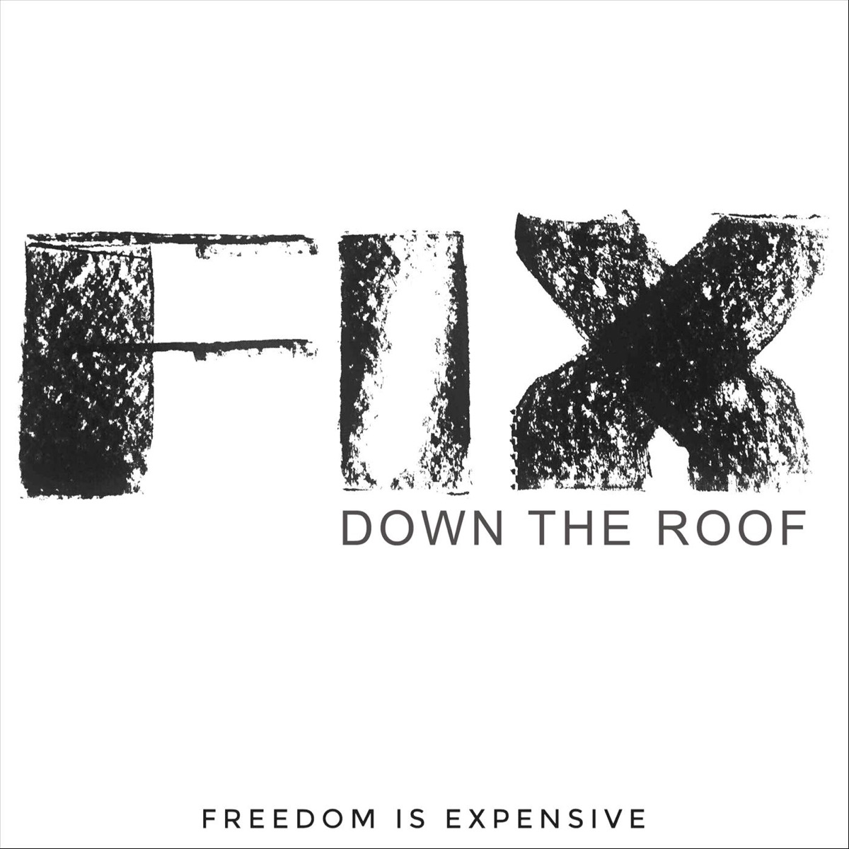 Down the Roof - Single by Freedom Is Expensive album cover