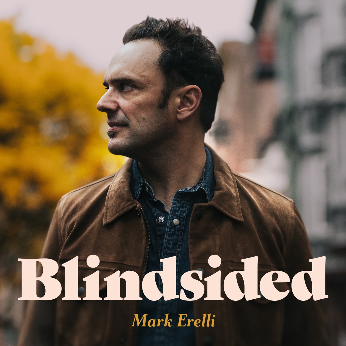 Blindsided by Mark Erelli album cover