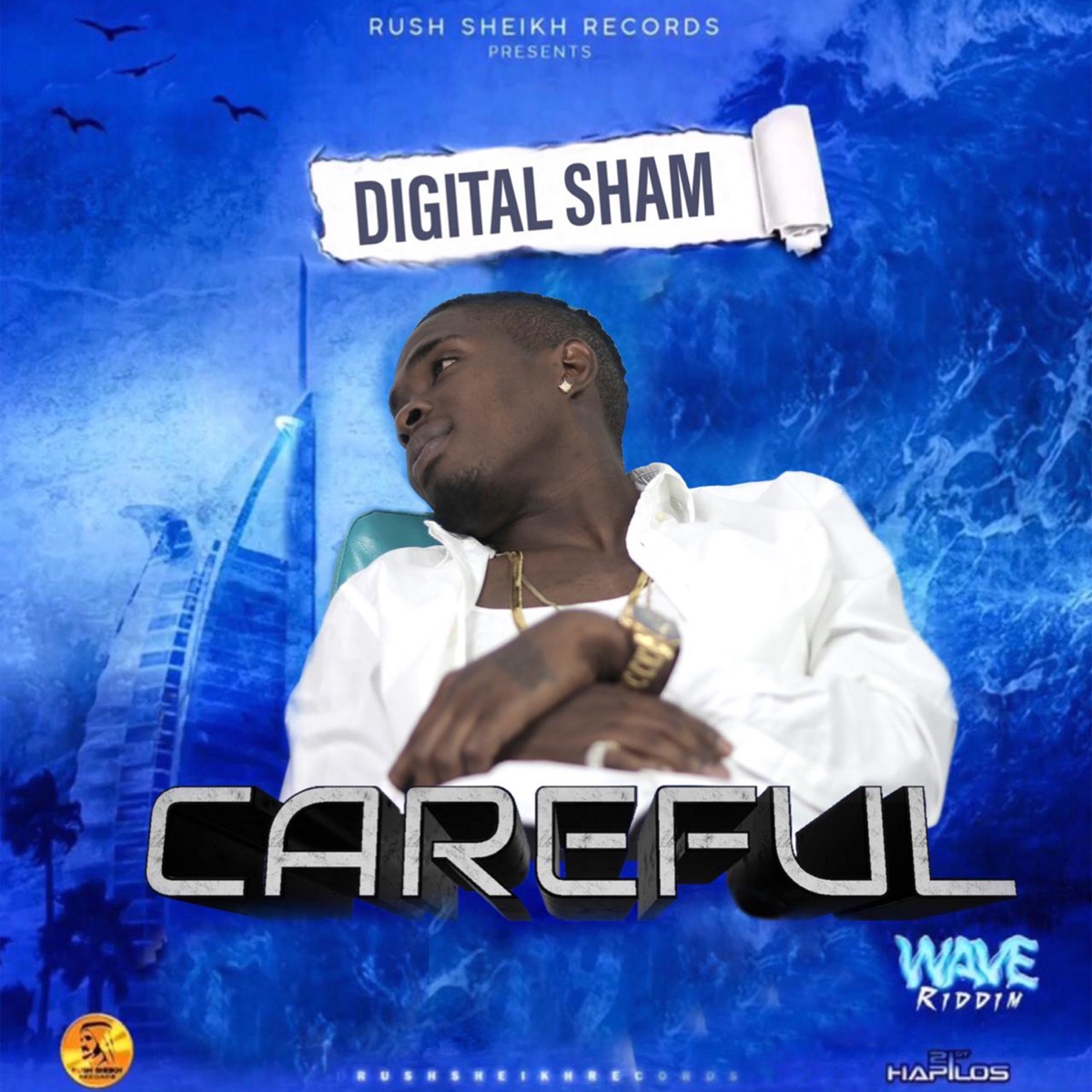 Careful - Single by Digital Sham album cover