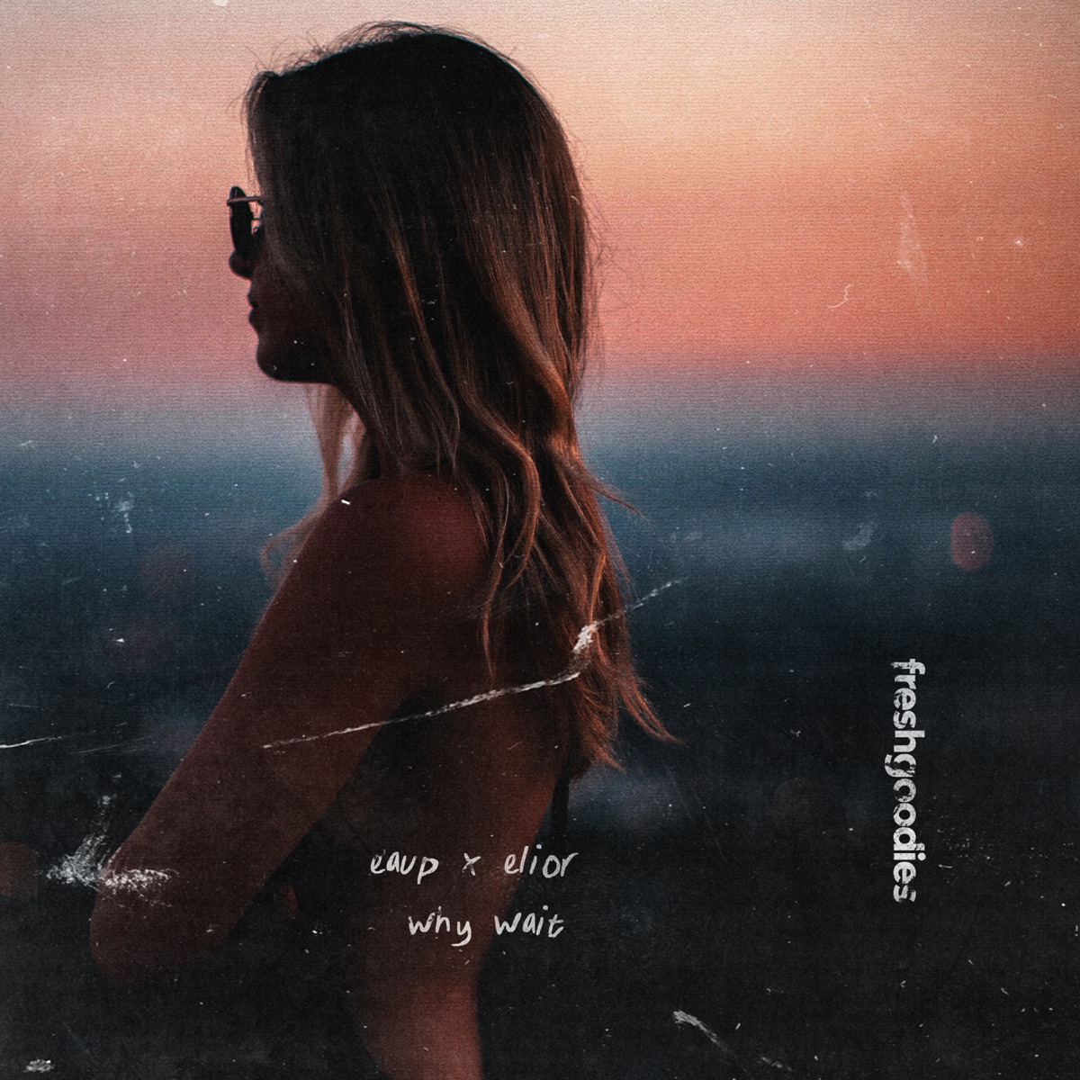 Why Wait - Single by eaup & Elior album cover