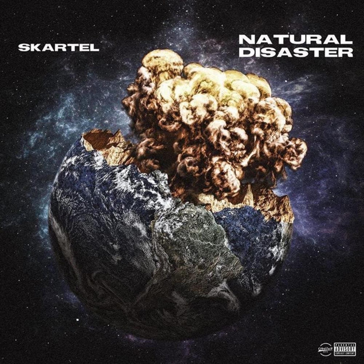 Natural Disaster by Skartel album cover