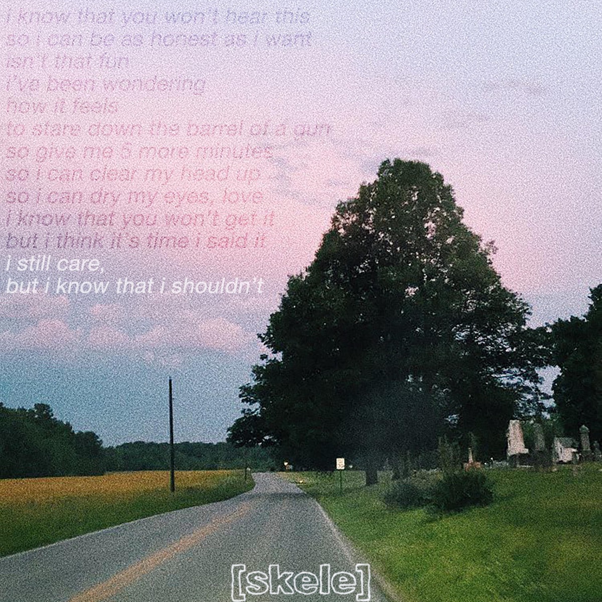 I Still Care, But I Know That I Shouldn't - Single by Lil Skele album cover