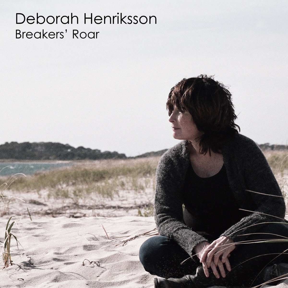 Breakers' Roar - Single by Deborah Henriksson album cover
