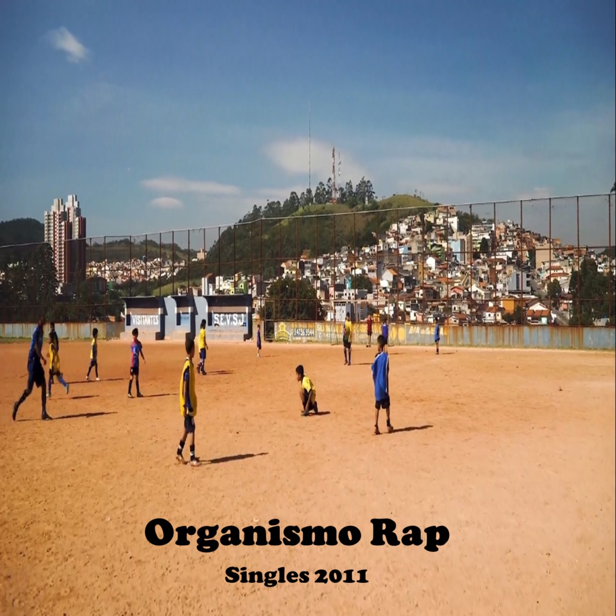 Singles 2011 by Organismo Rap album cover