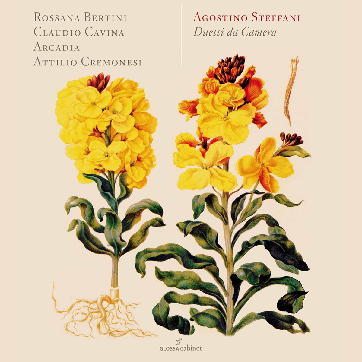 Duetti da camera by Rossana Bertini, Claudio Cavina, Ensemble Arcadia & Attilio Cremonesi album cover
