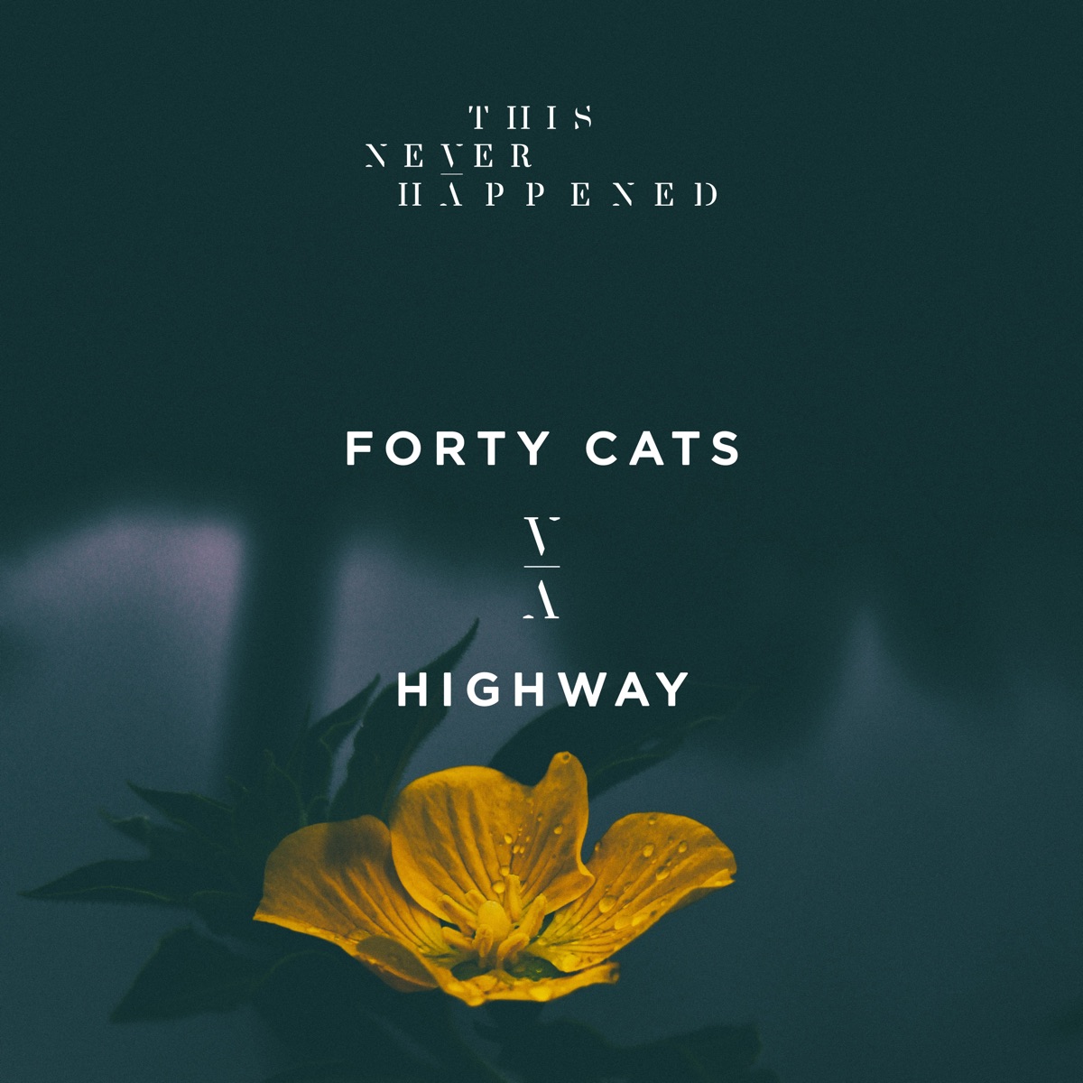 Highway - Single by Forty Cats album cover