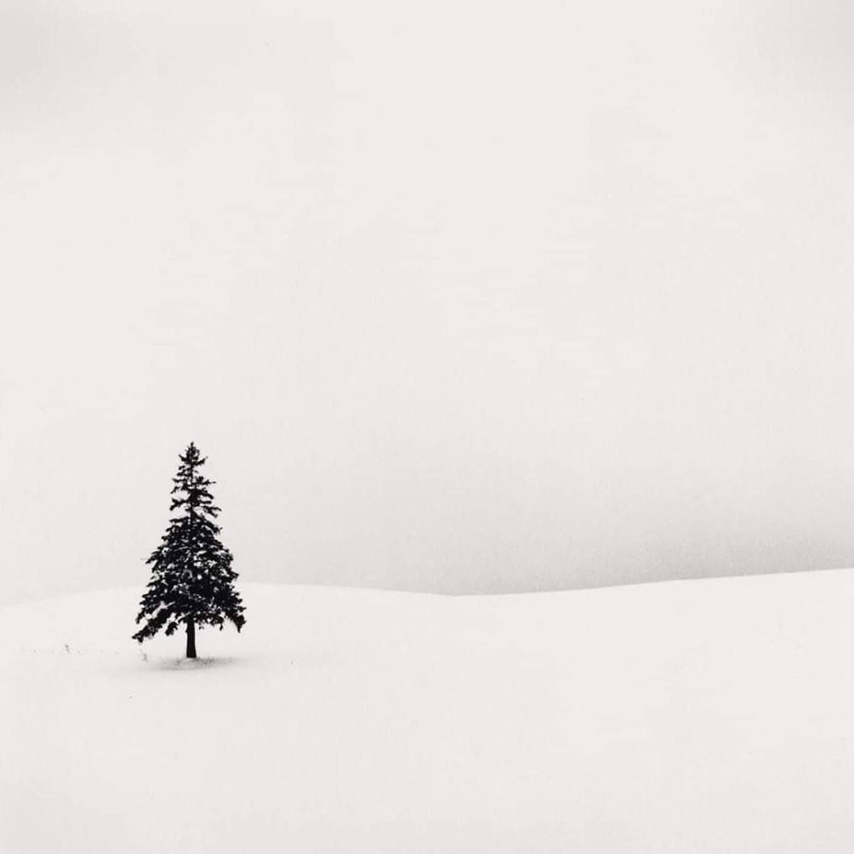 Nothing Changes: Everything Is Different - Single by H.1 album cover
