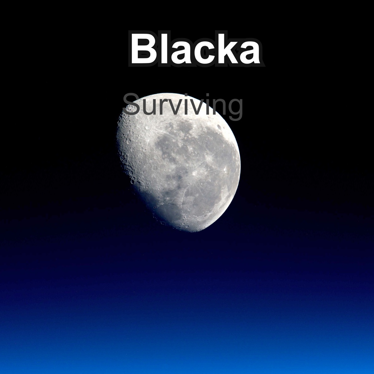 Surviving - Single by blacka album cover