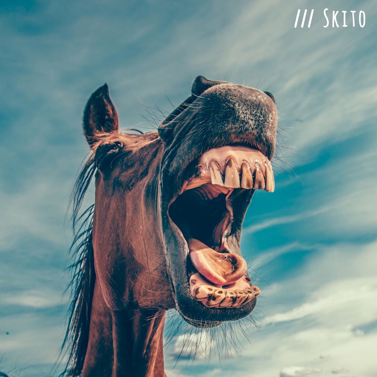 Out On My Erse - Single by Skito album cover