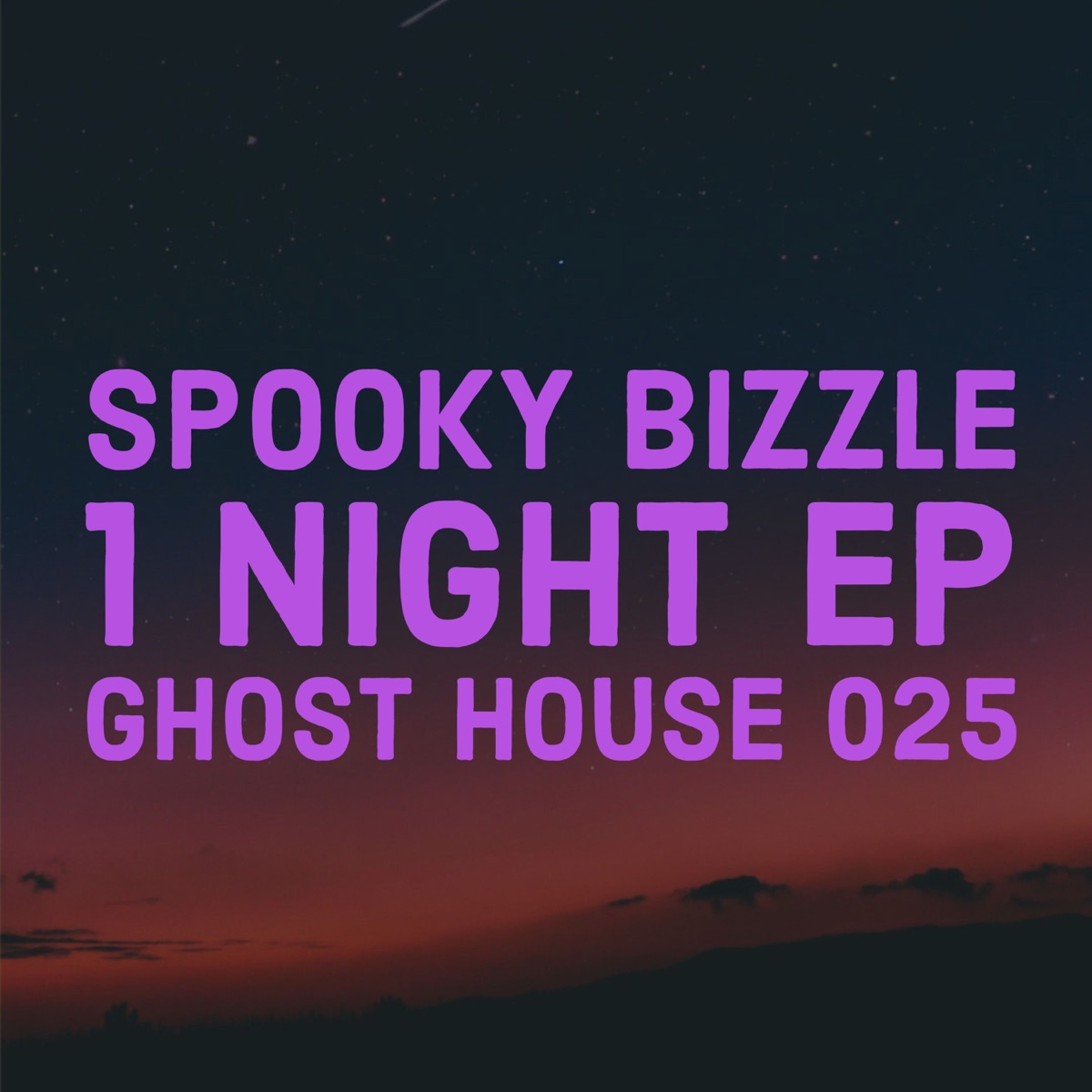 1 Night - EP by Spooky Bizzle album cover