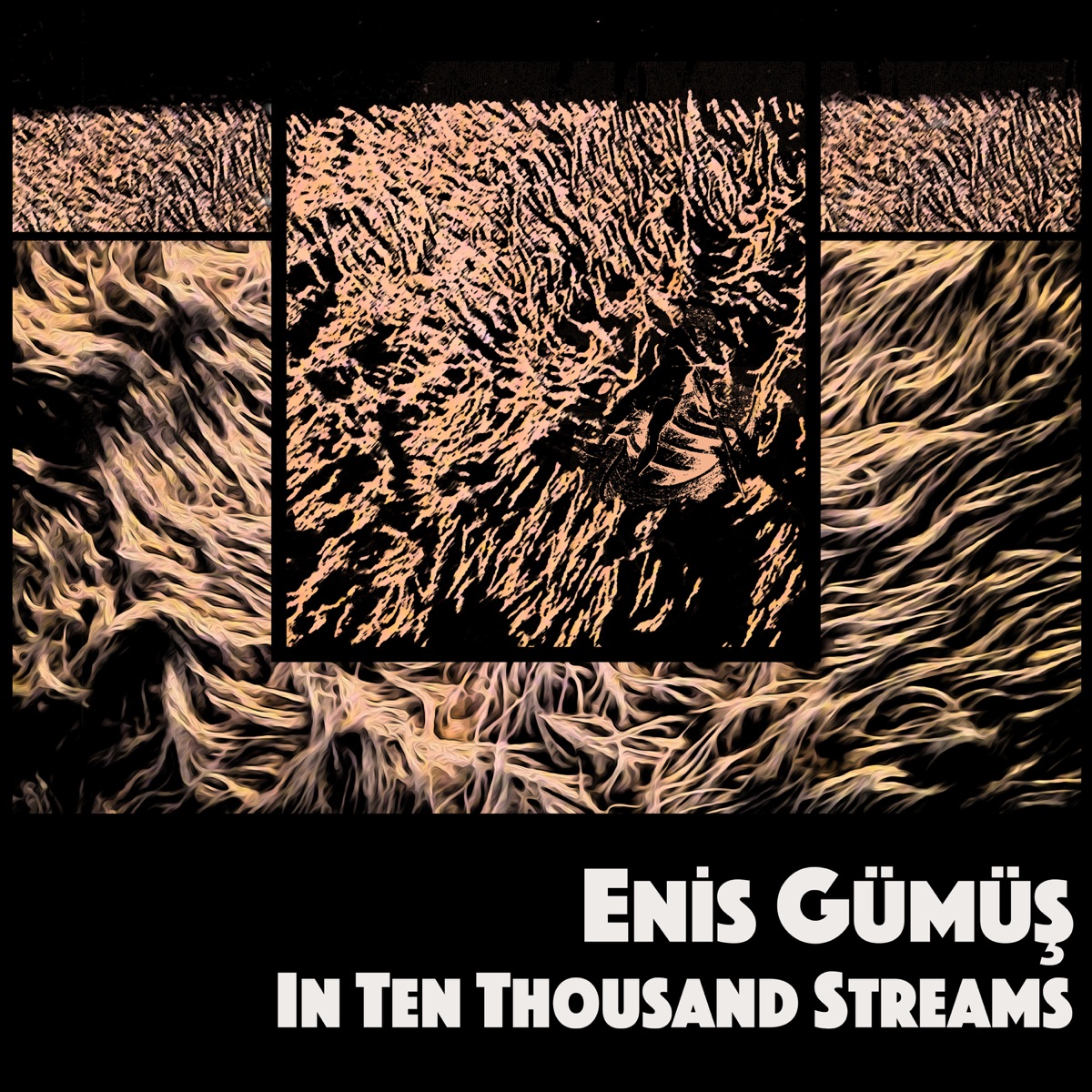 In Ten Thousand Streams by Enis Gümüş, Nieuw Ensemble, Hezarfen Ensemble, Asko Schönberg, Nederlands Blazers Ensemble & Ensemble Garage album cover
