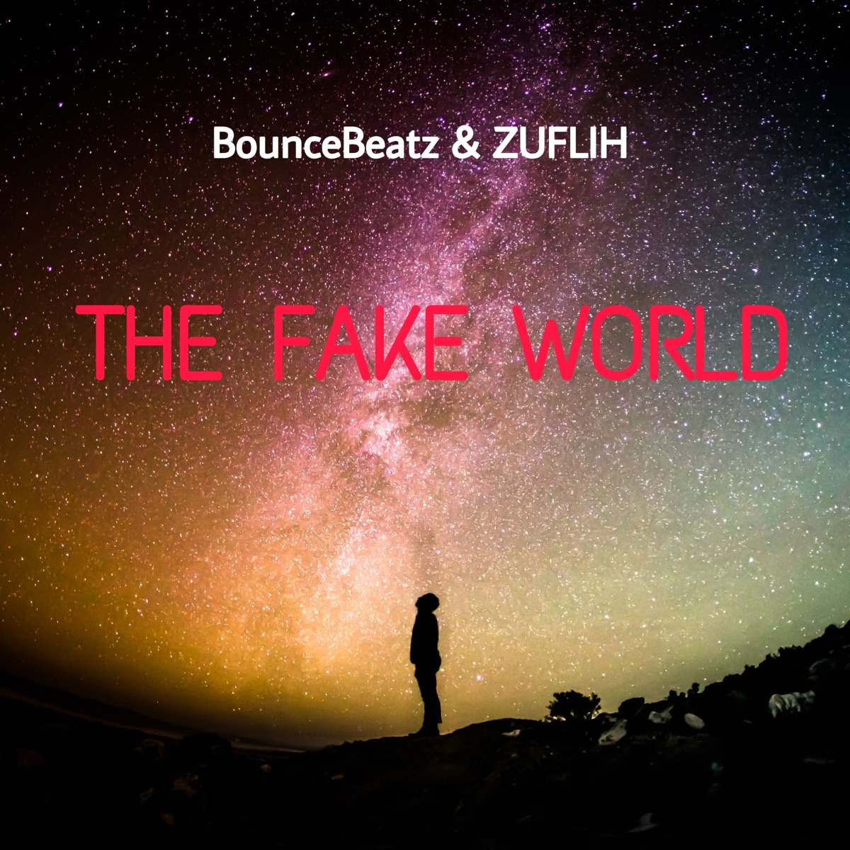 The Fake World - Single by BounceBeatz & ZUFLIH album cover
