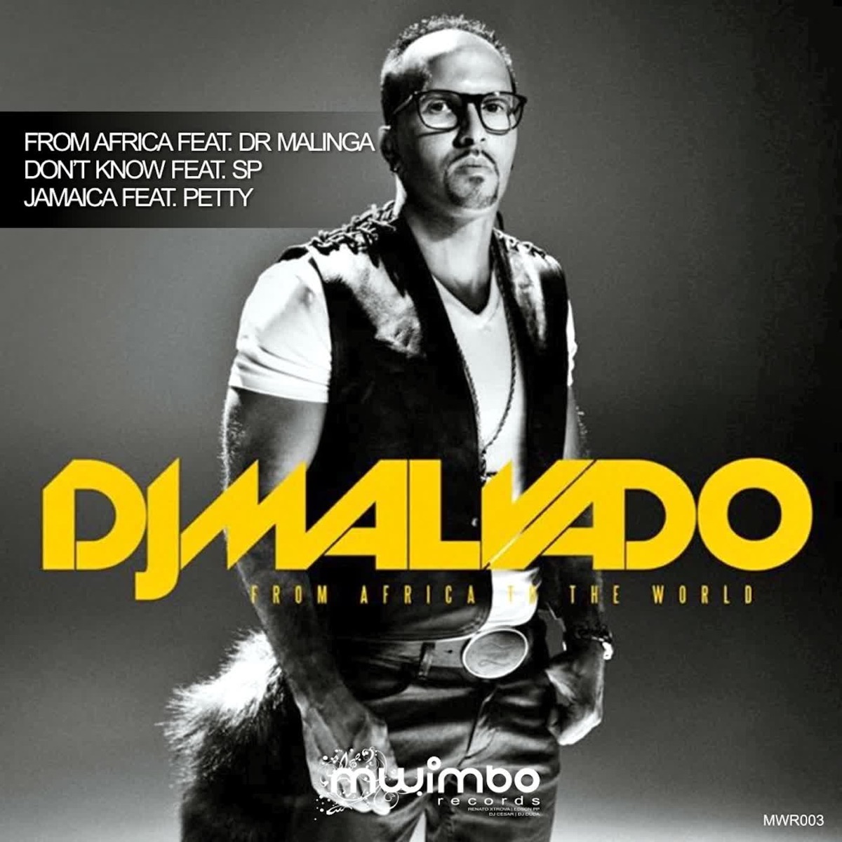 From Africa to the World - Single by DJ Malvado album cover