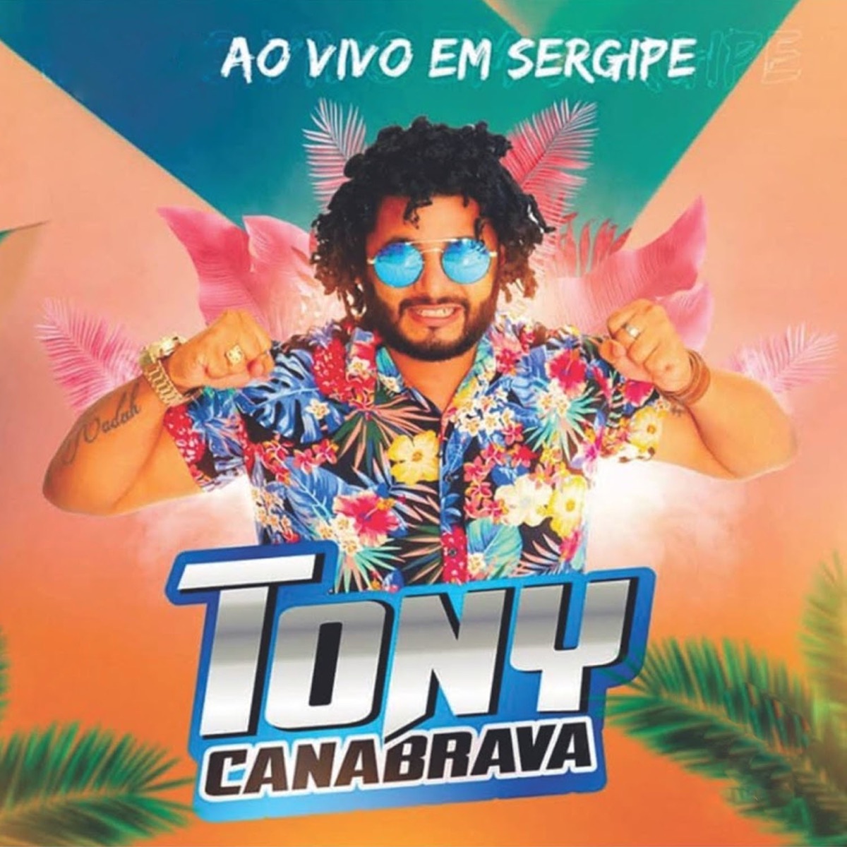Verão 2k19 (Ao Vivo) by Tony Canabrava album cover
