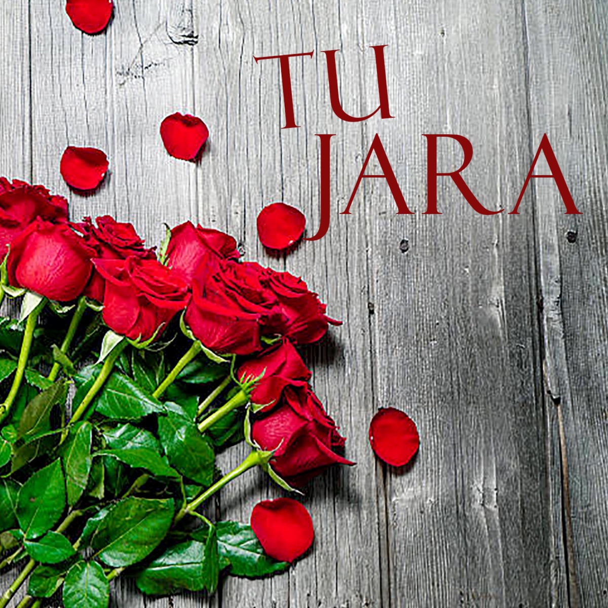 Tu Jara (feat. Hrishikesh Ranade) - Single by Parallel Notes Music album cover