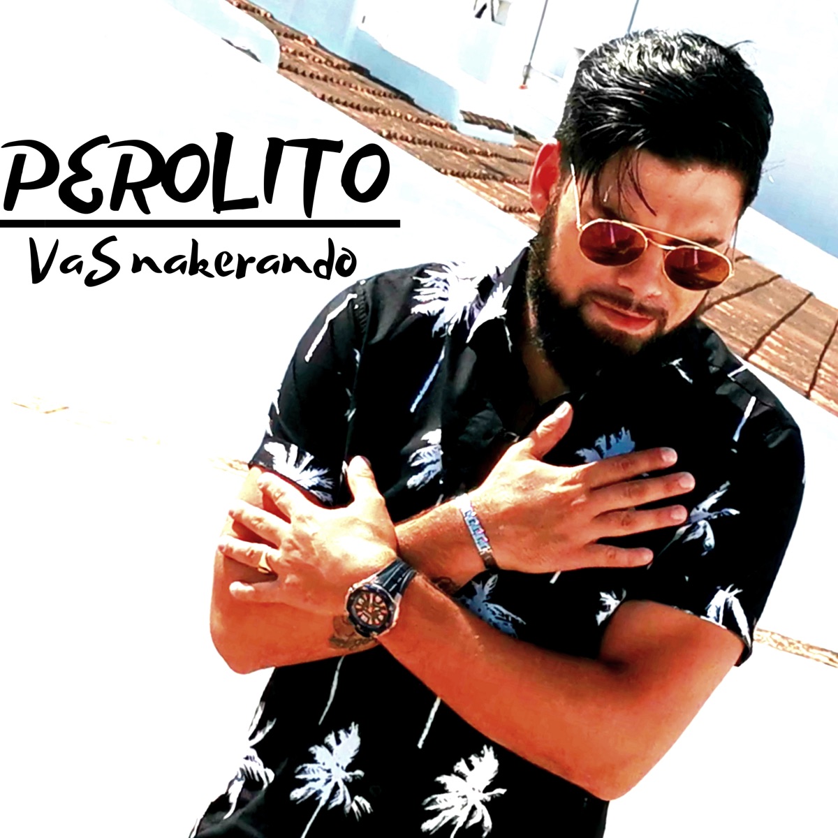 Vas Nakerando - Single by Perolito album cover