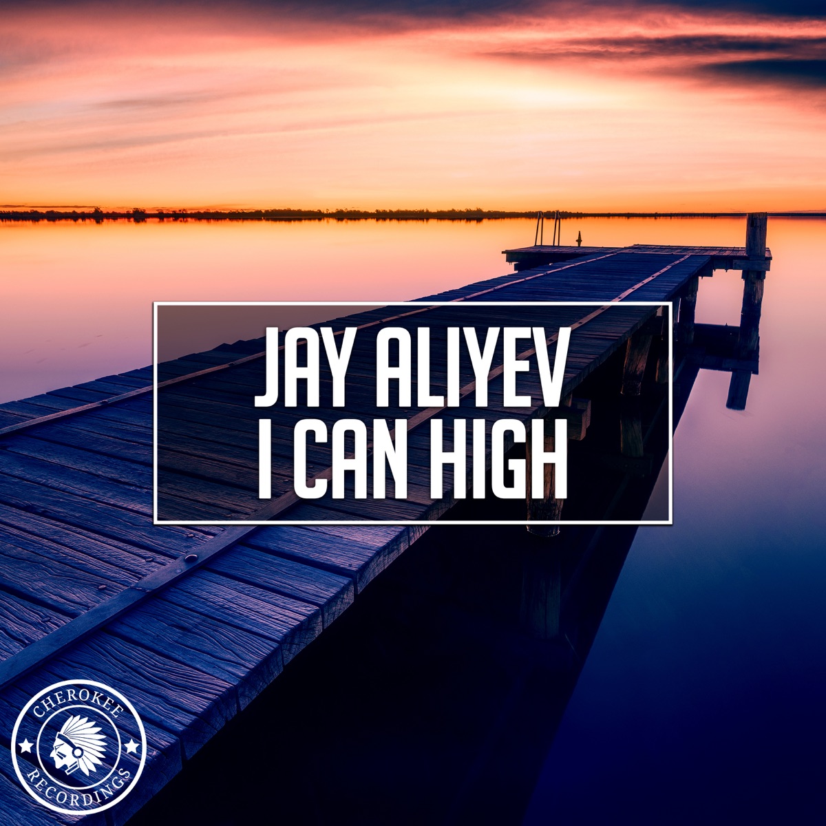 I Can High - Single by Jay Aliyev album cover