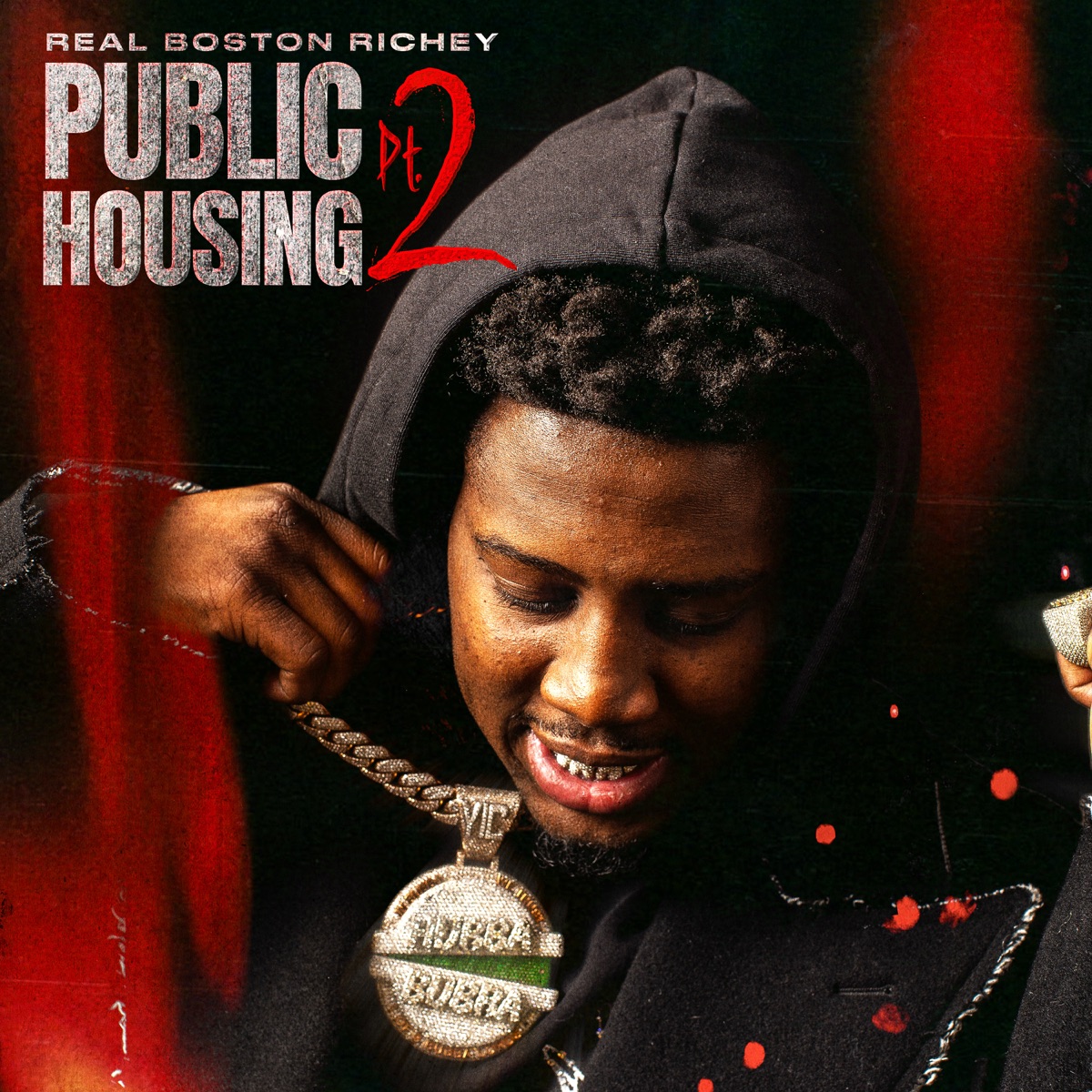 Public Housing, Pt. 2 by Real Boston Richey album cover