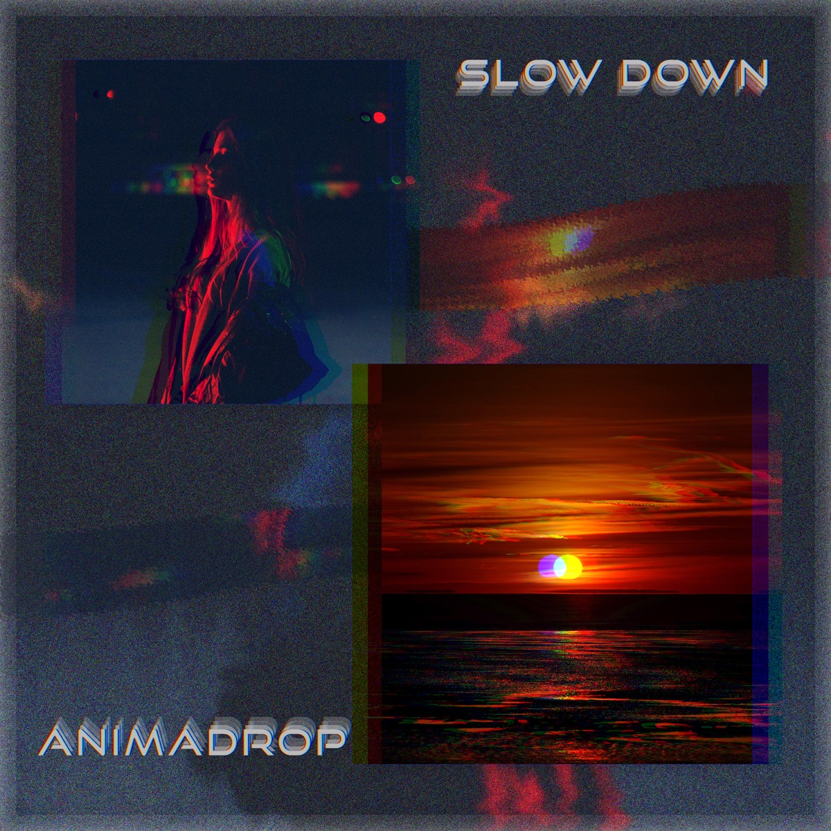 Slow Down - Single by Animadrop album cover