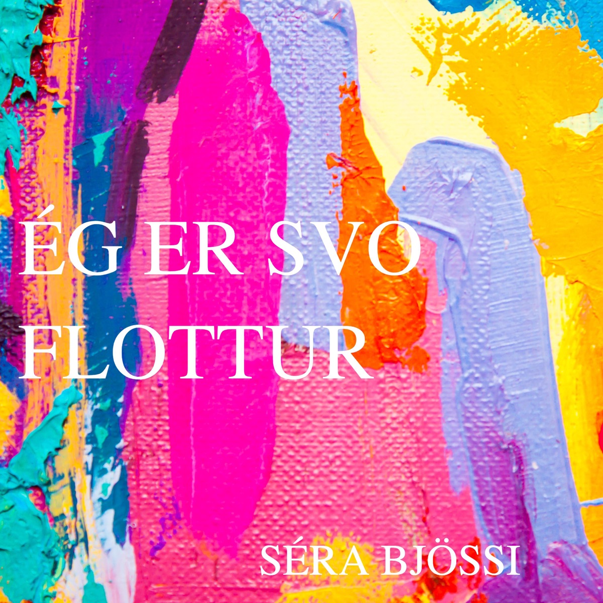Ég Er Svo Flottur - Single by Séra Bjössi album cover