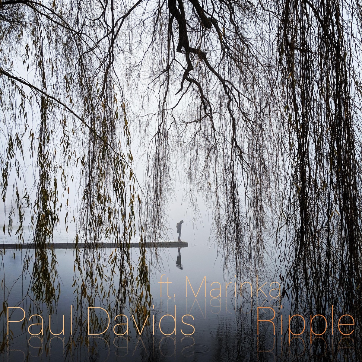 Ripple (feat. Marinka) - Single by Paul Davids album cover