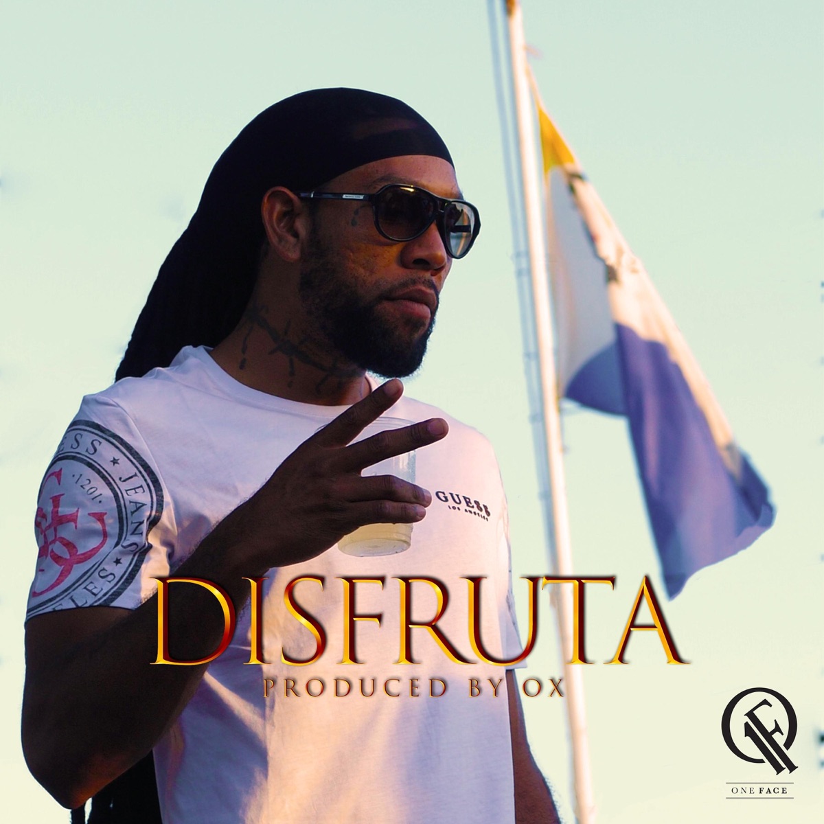 Disfruta - Single by Ser-G album cover
