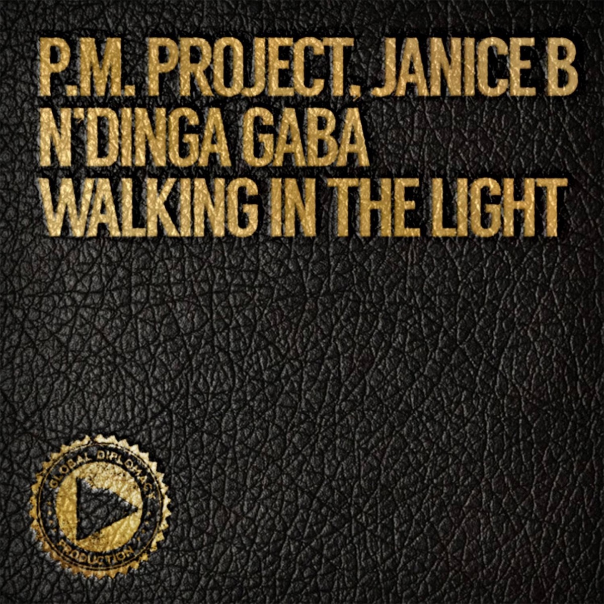 Walking in the Light - Single by P.M Project, Janice B & N'dinga Gaba album cover