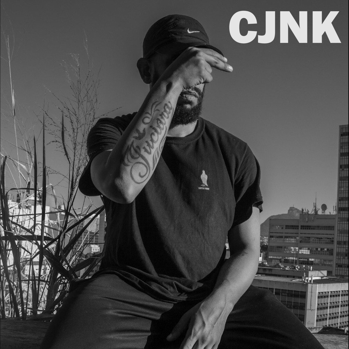 Não Gosto de Promessa - Single by CJNK & vinicreizi album cover