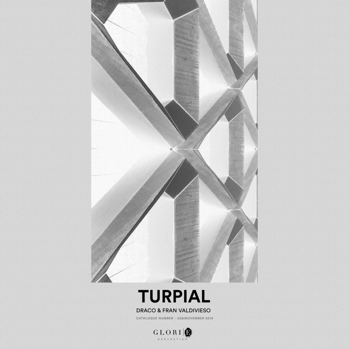 Turpial - Single by Draco & Fran Valdivieso album cover