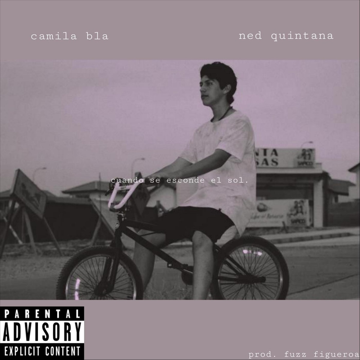 Cuando Se Esconde el Sol - Single by Ned Quintana & Camila Bla album cover