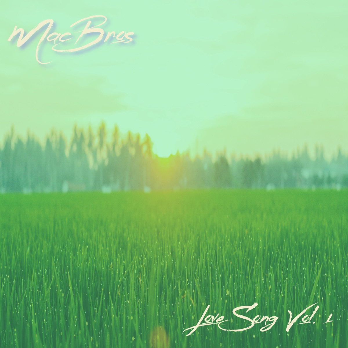 Love Song, Vol. 1 - Single by MacBros album cover