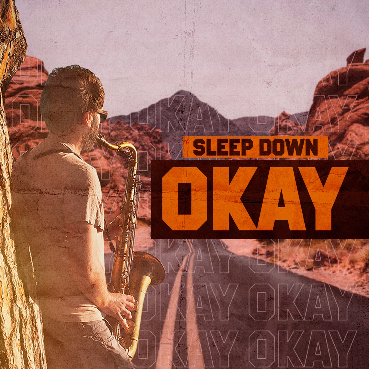 Okay - Single by Sleep Down album cover