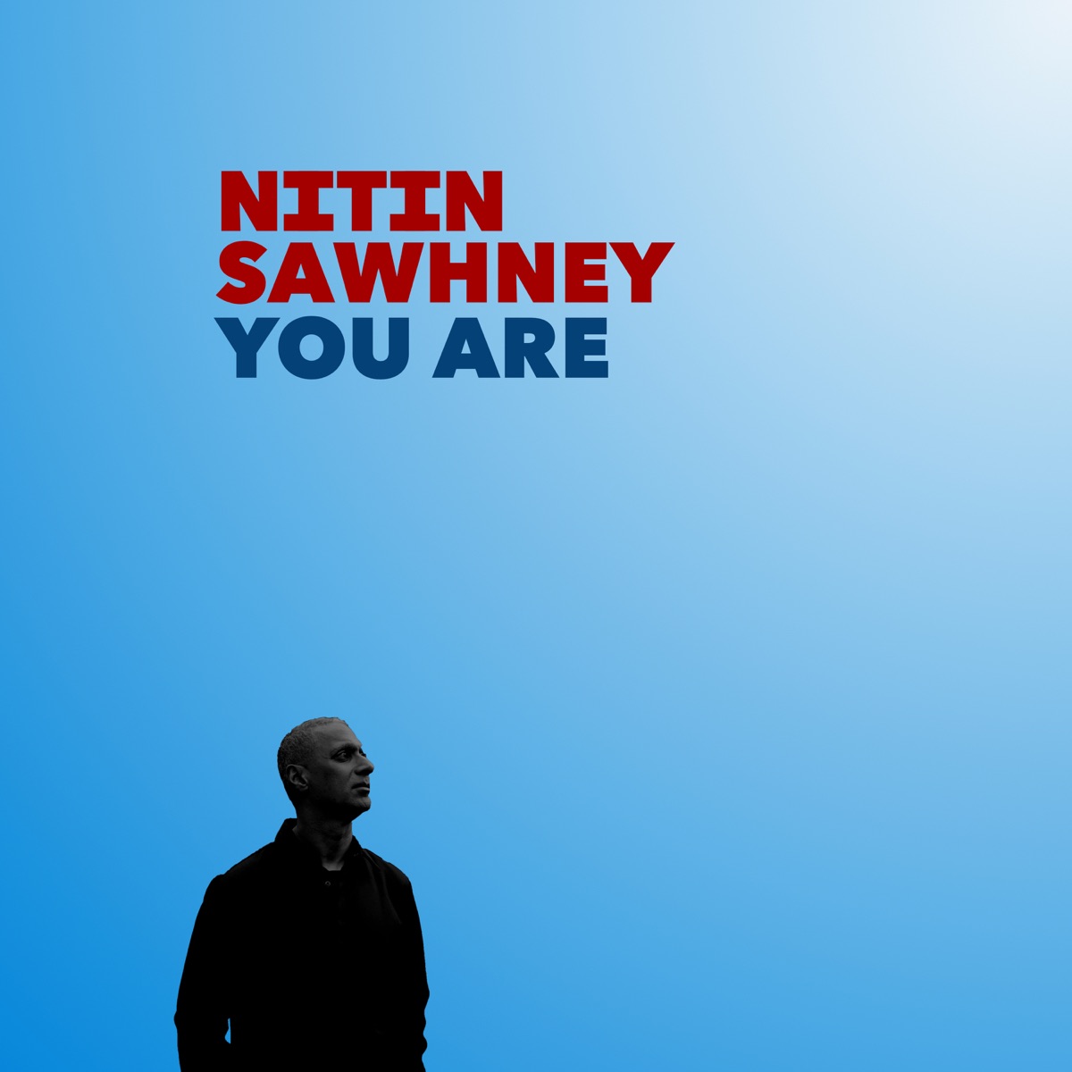 You Are (feat. YVA) - Single by Nitin Sawhney, Anna Phoebe & Ashwin Srinivasan album cover