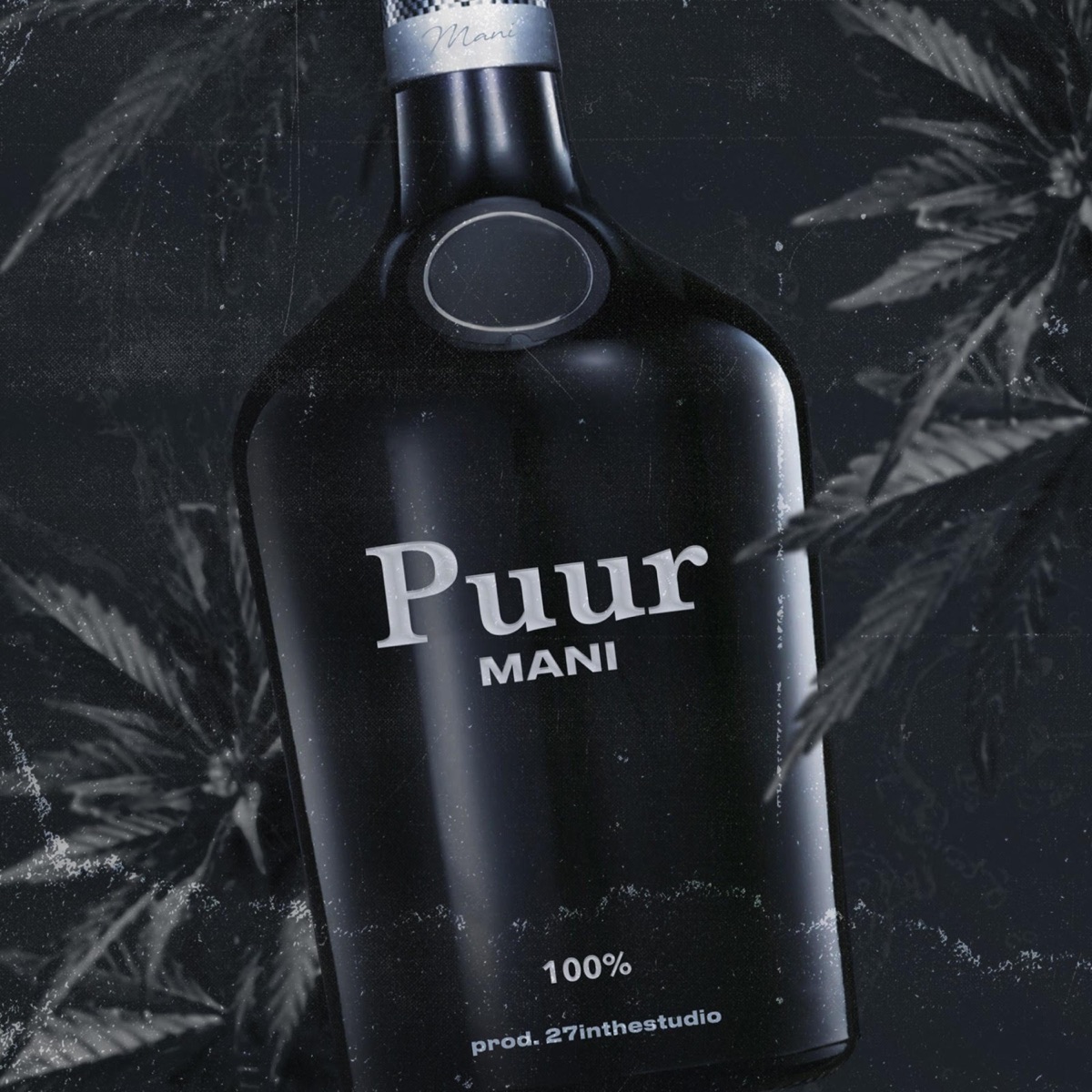 Puur - Single by Mani album cover